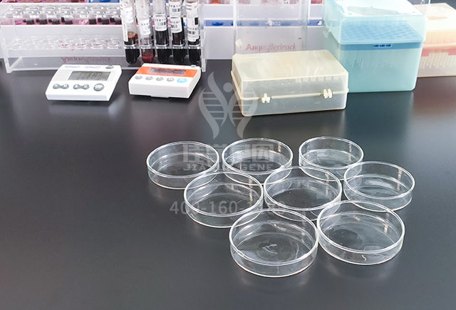 《欢乐颂》——