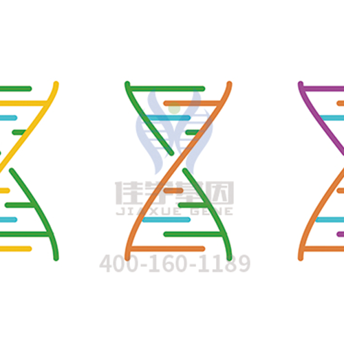 【眼科遗传病】<font color='red'>BEST</font>病基因解码、<a href=http://www.szyjgc.com/tk/jiema/cexujishu/2021/31933.html>基因检测</a>